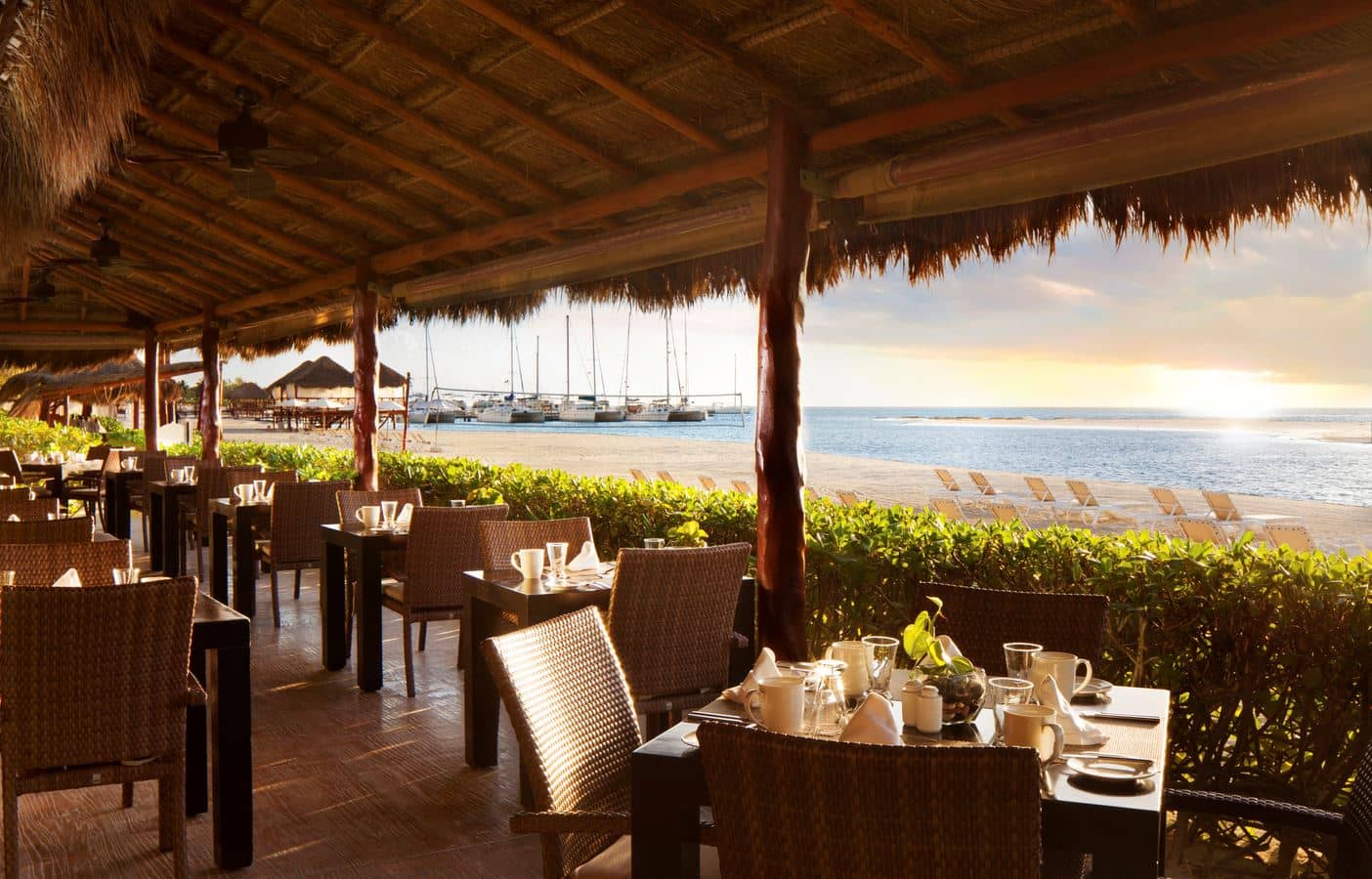 restaurants-papitos