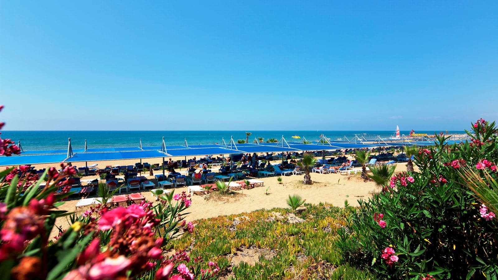 beach-beach