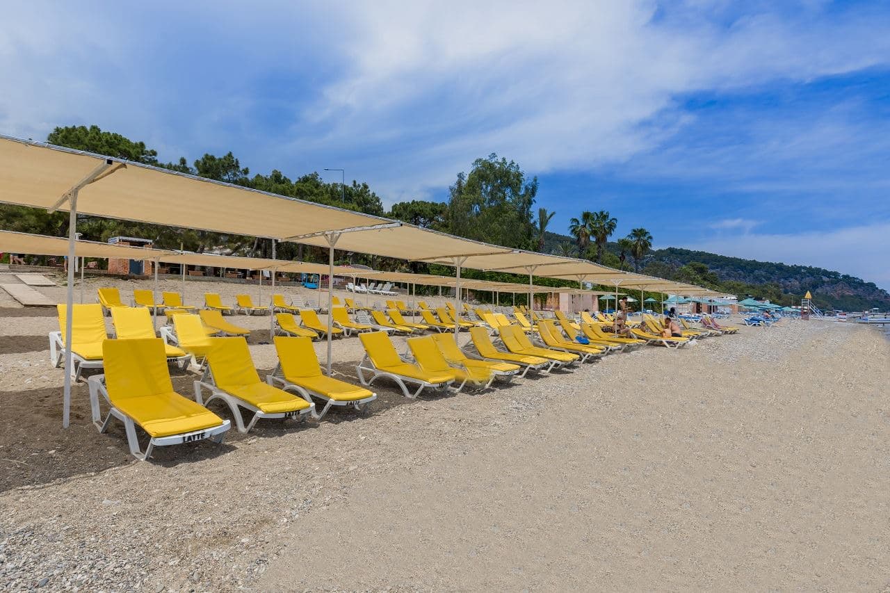 beach-beach