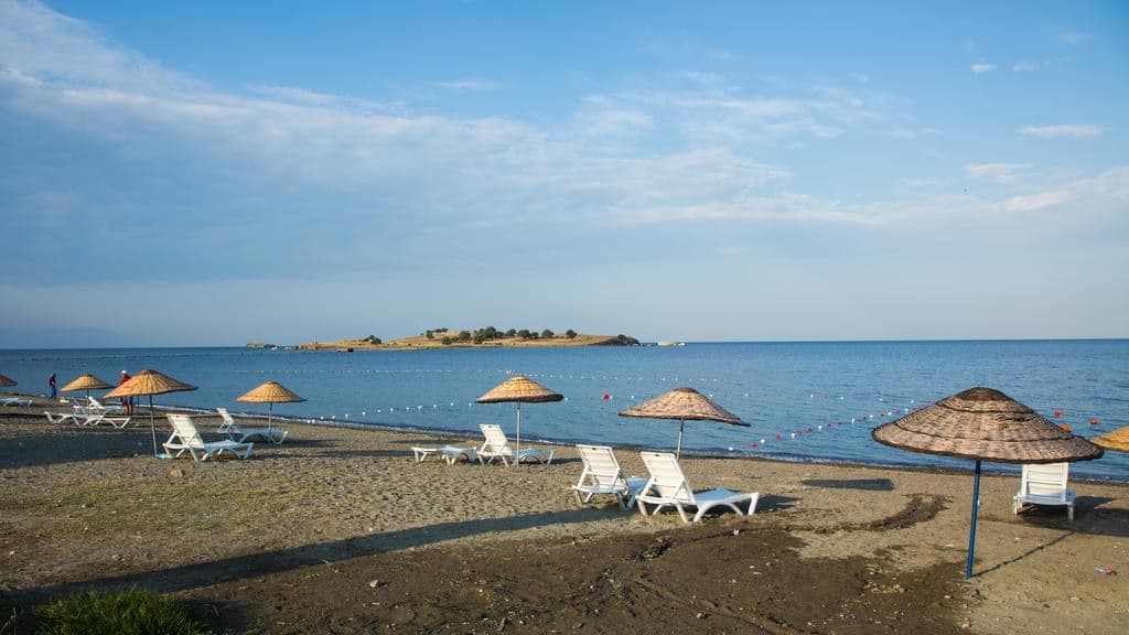 beach-beach