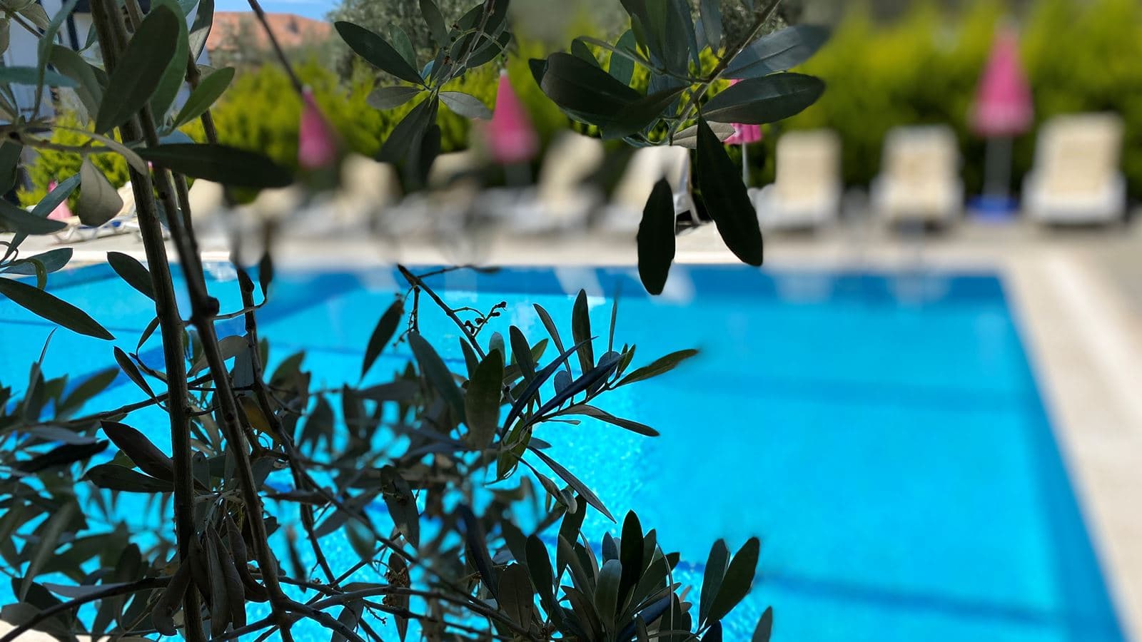 pools-main-building