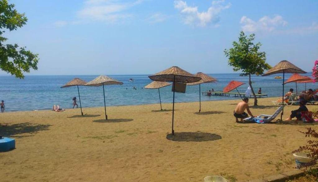 beach-beach