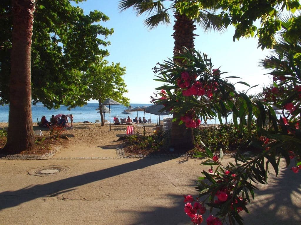 beach-beach
