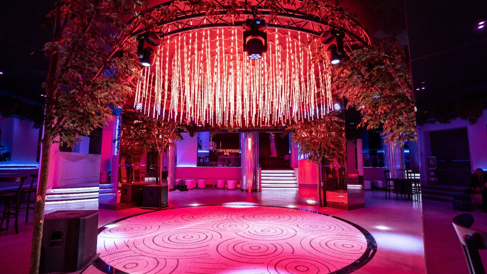 bars-disco-bar