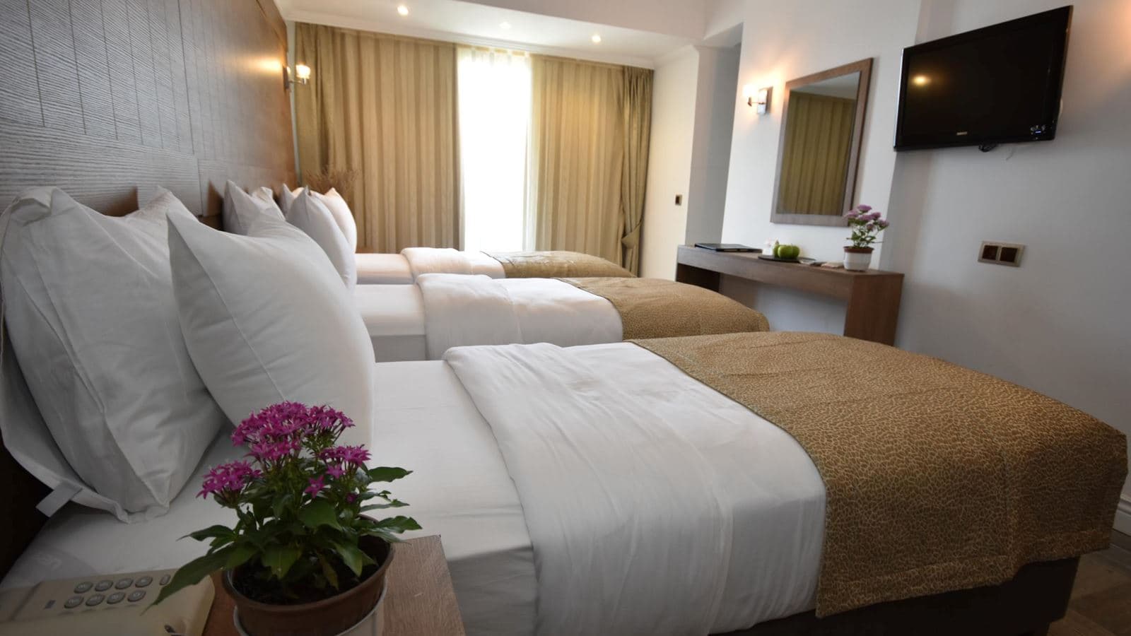 rooms-standard-room