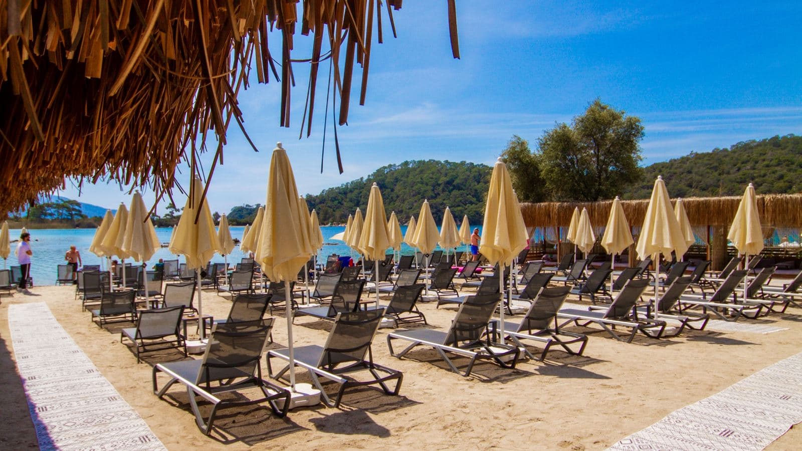 beach-beach