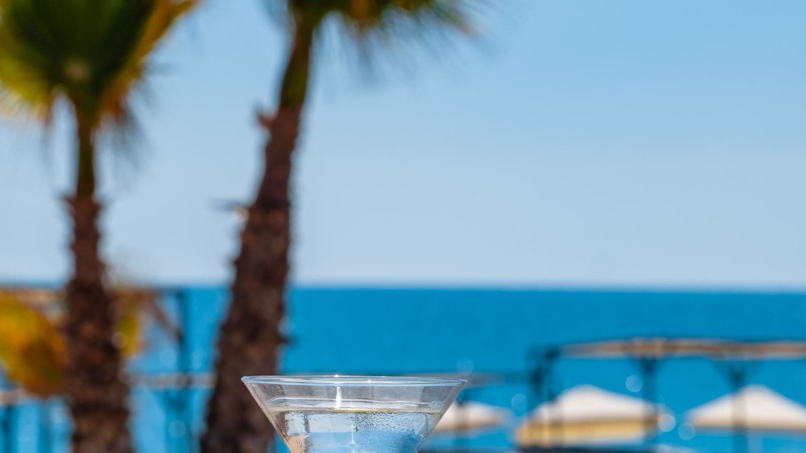 bars-restoran-bar