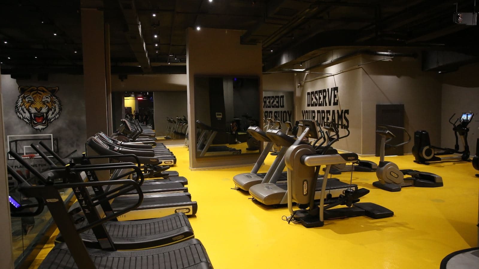 sport-sport
