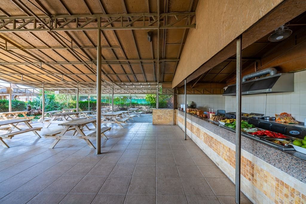bars-beach-bar