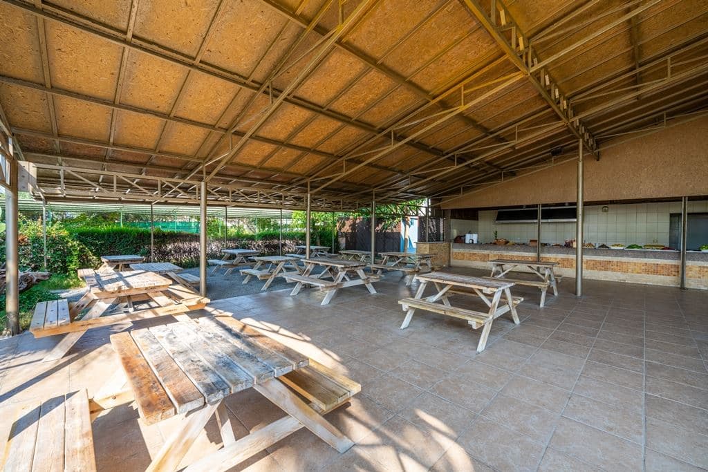 bars-beach-bar