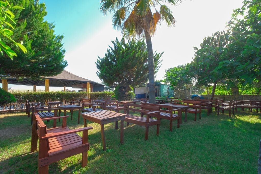 bars-beach-bar