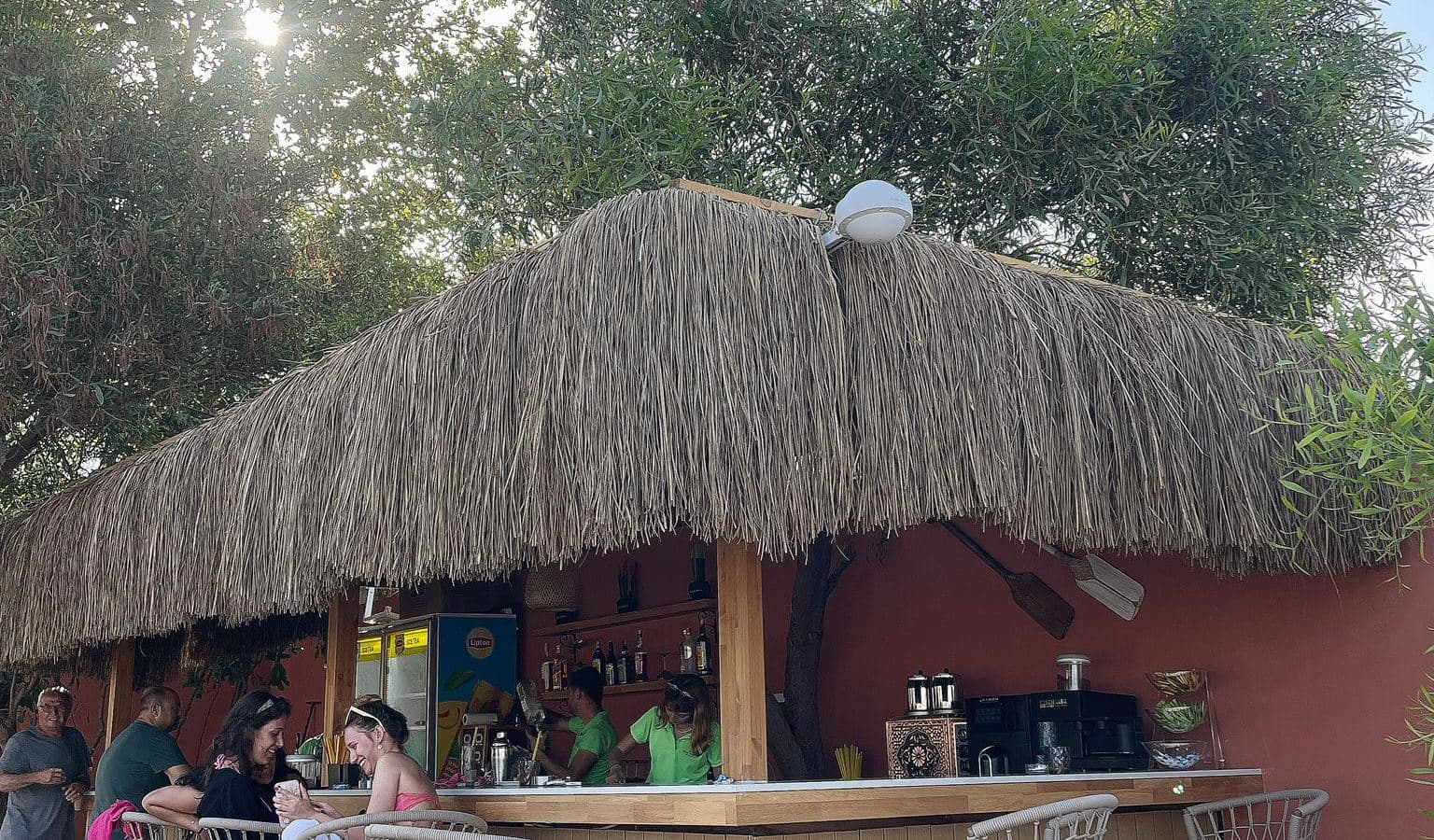 bars-beach-bar
