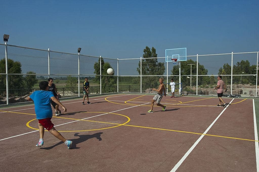 sport-sport