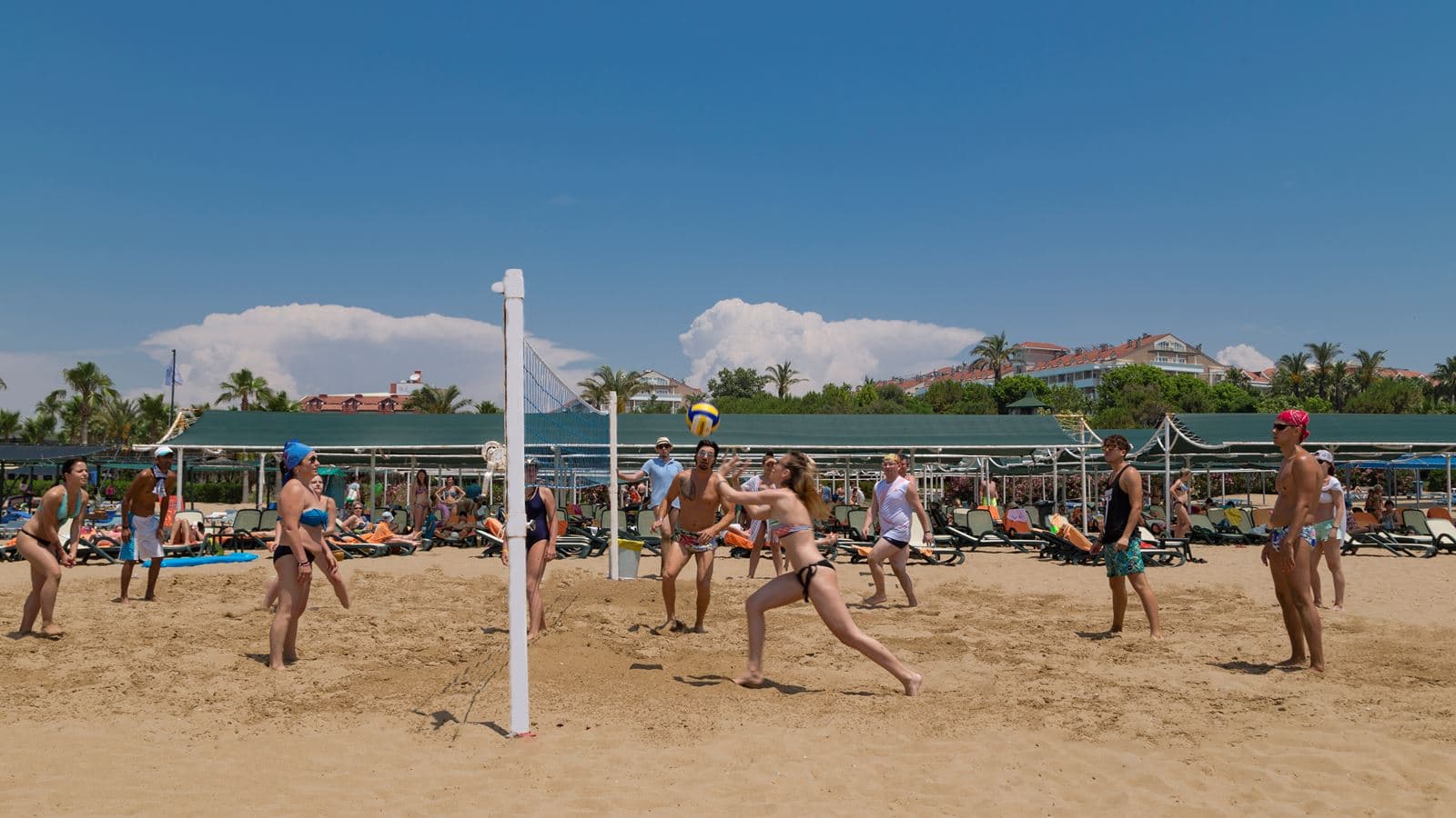 sport-sport