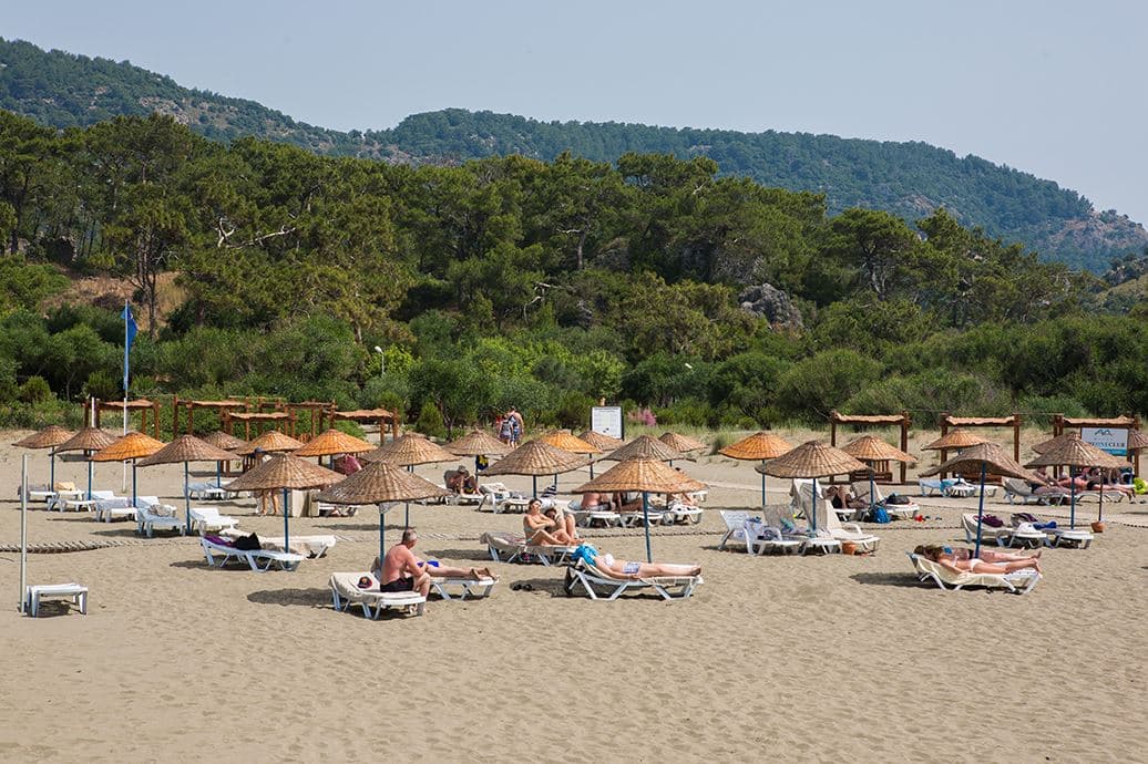 beach-beach