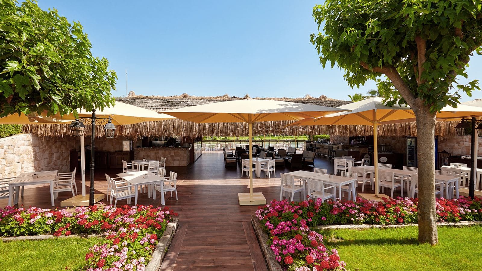 bars-galeon-bar