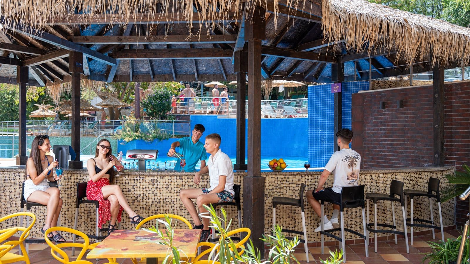 bars-pool-bar