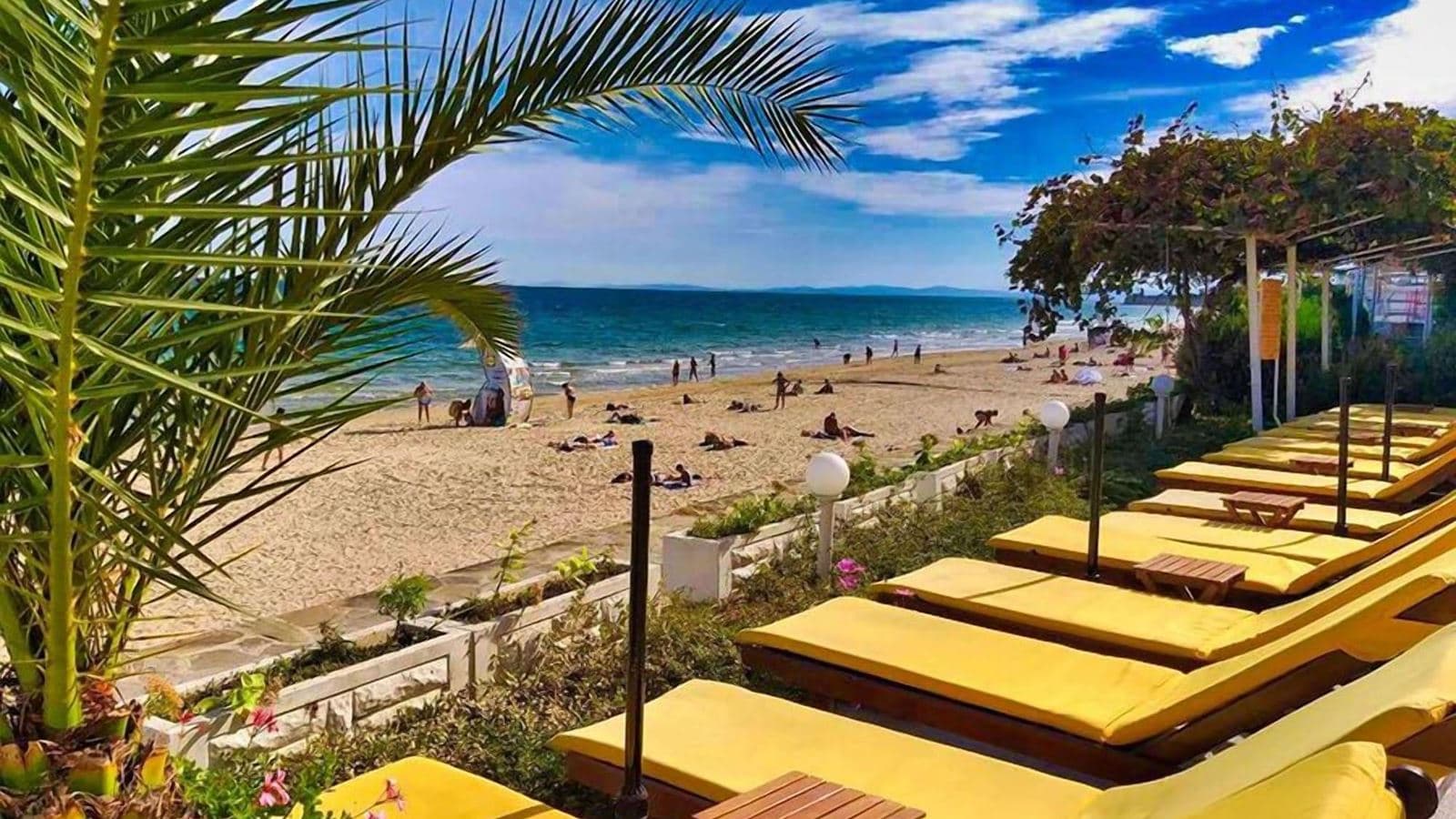 beach-beach