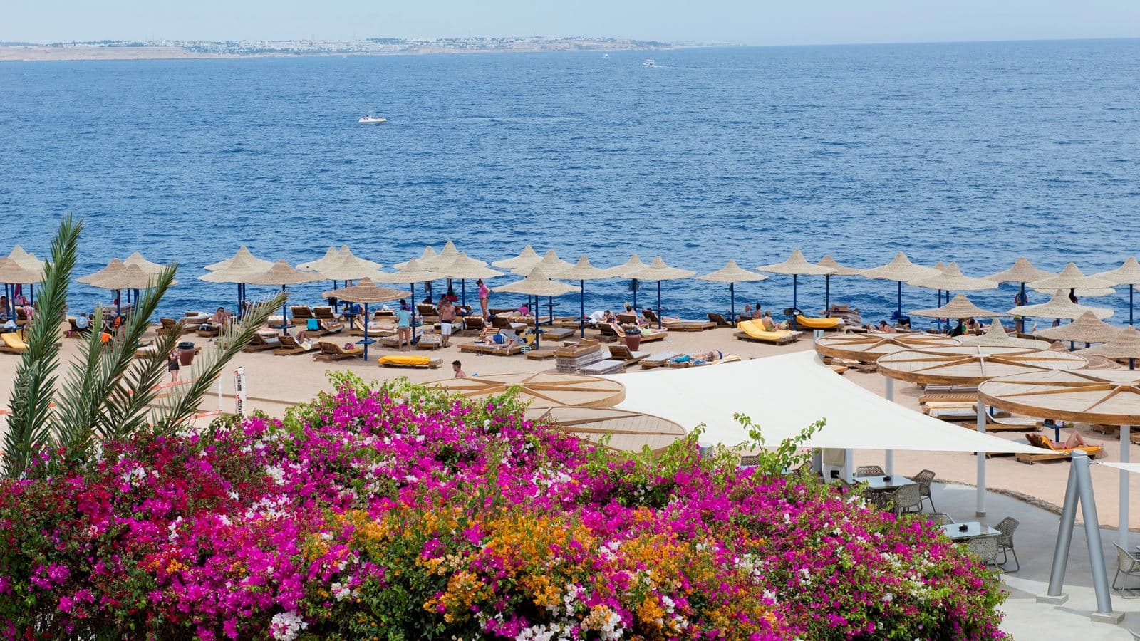 beach-beach