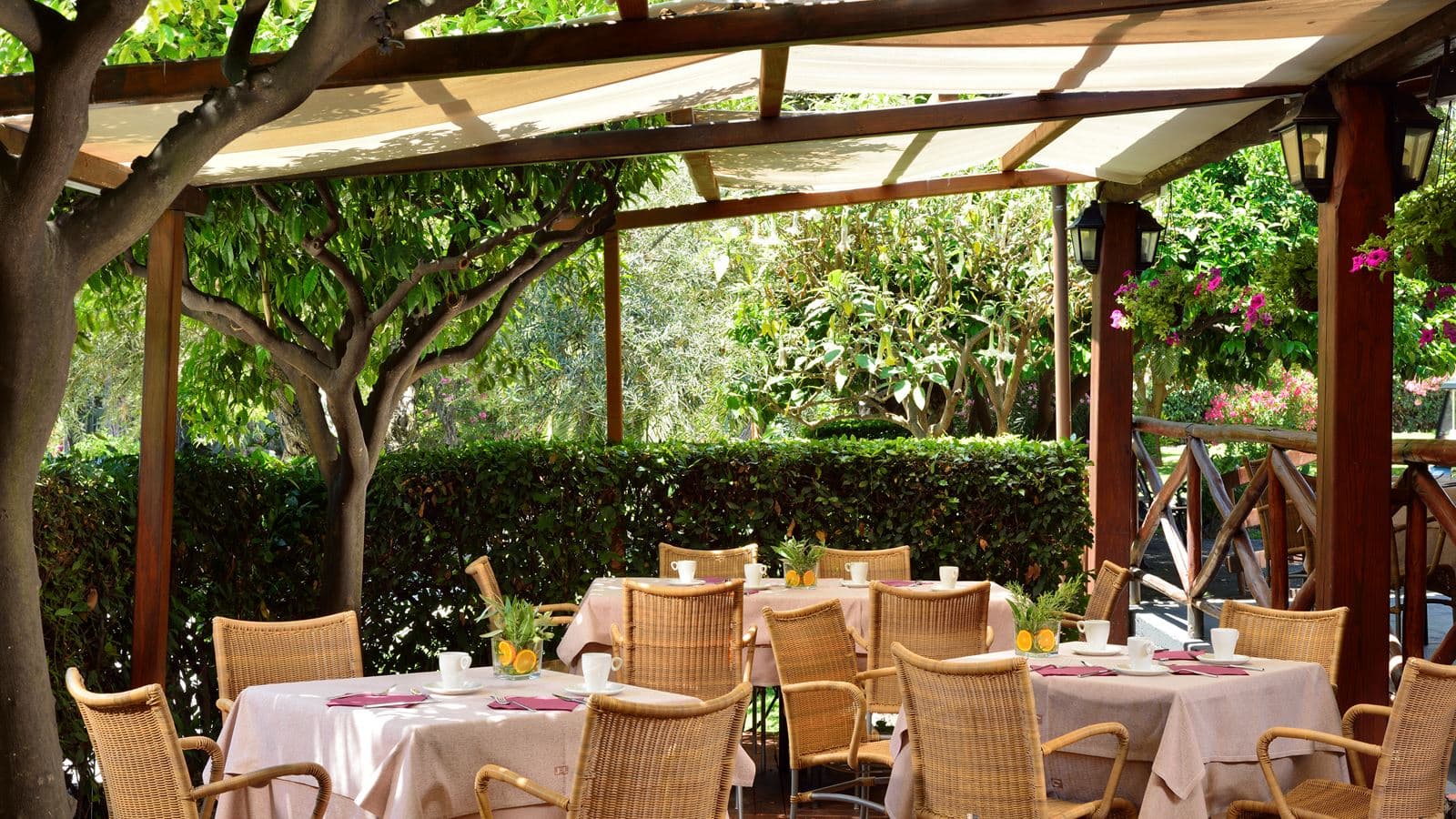 restaurants-restaurants