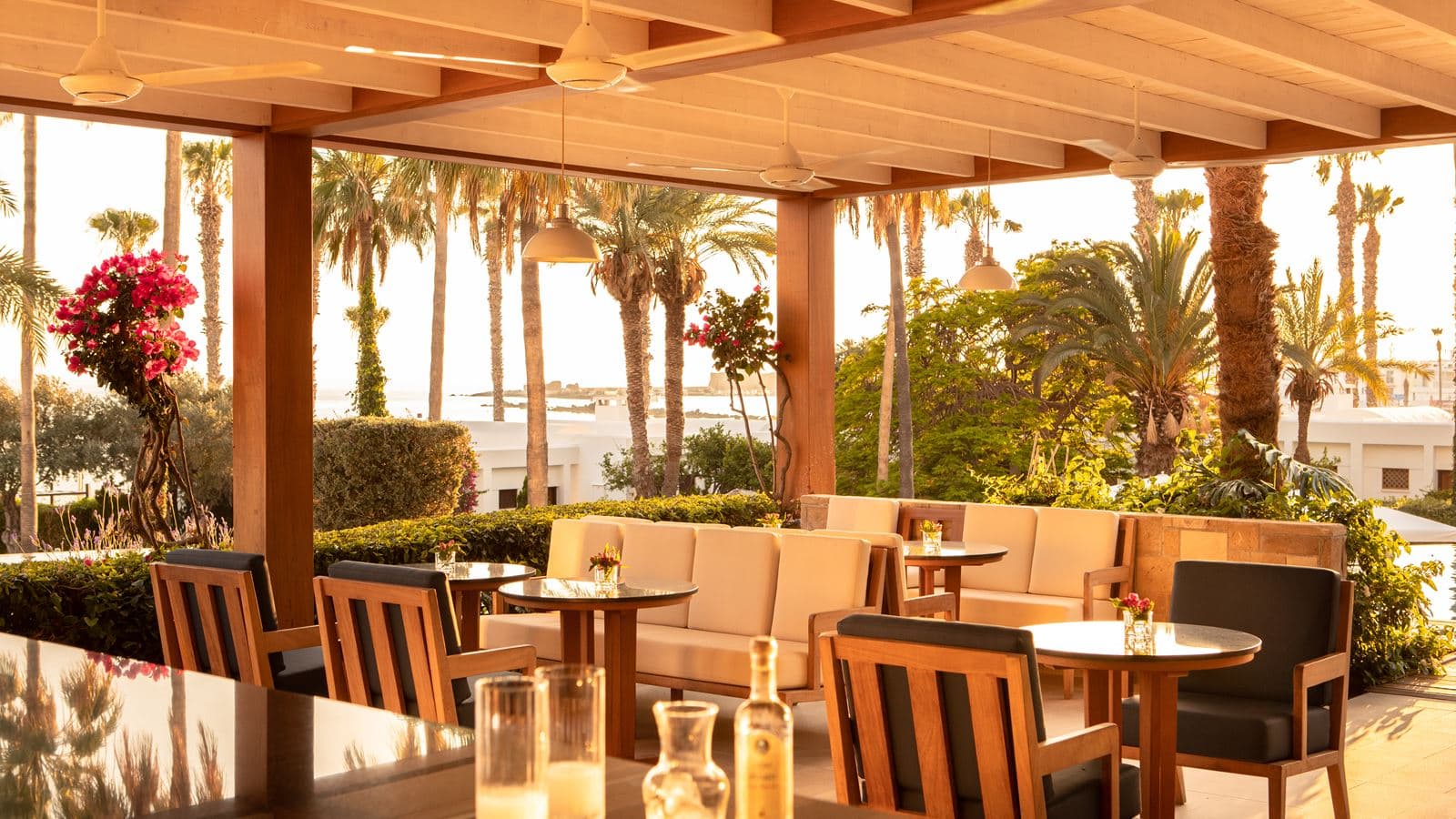 restaurants-amoroza