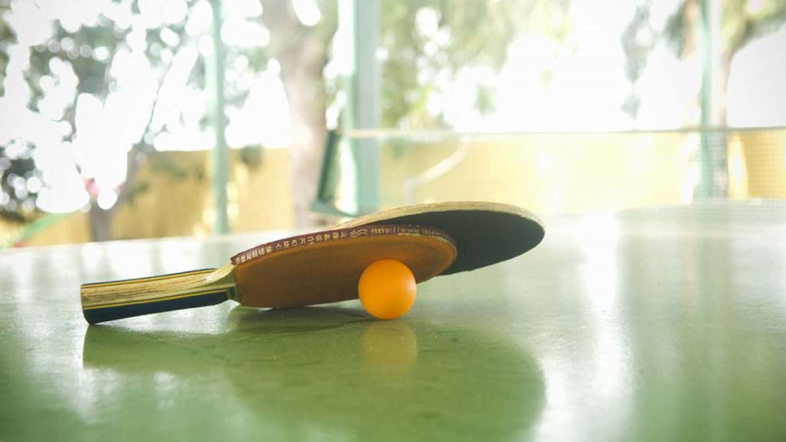 sport-sport