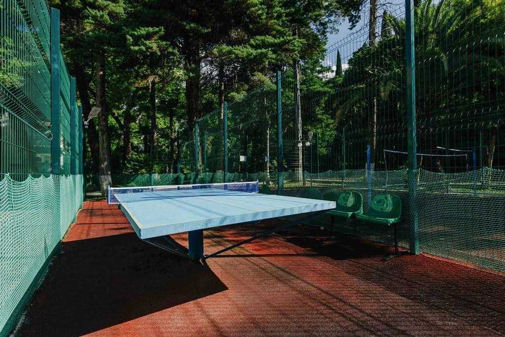 sport-sport