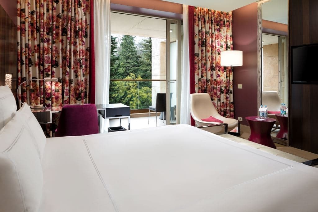 rooms-standart-king-park-view