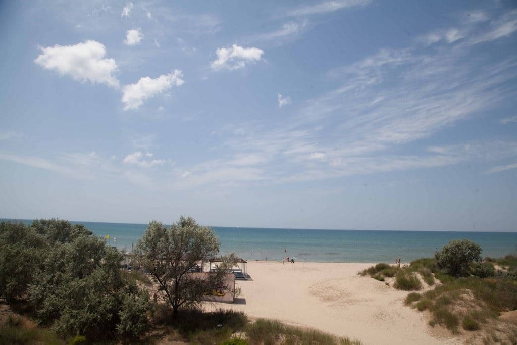 beach-beach