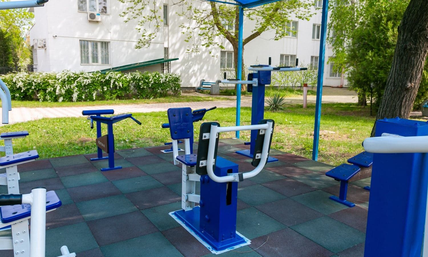 sport-sport