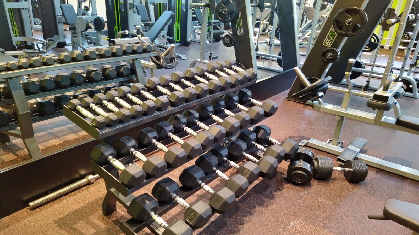 sport-sport