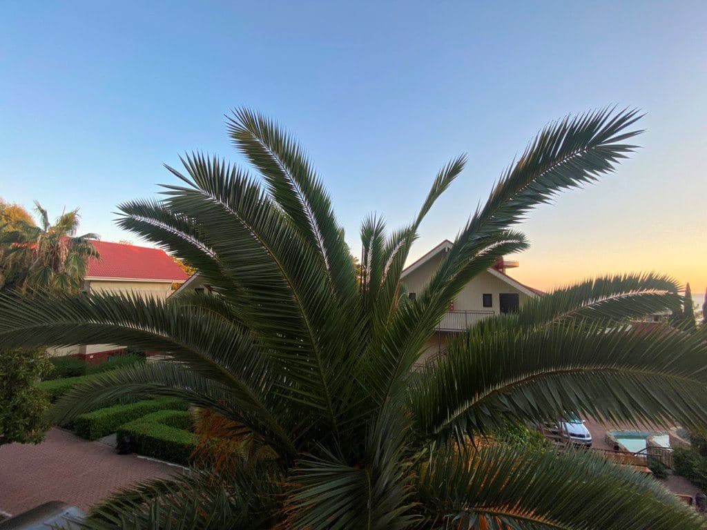 rooms-standart-double-balcony