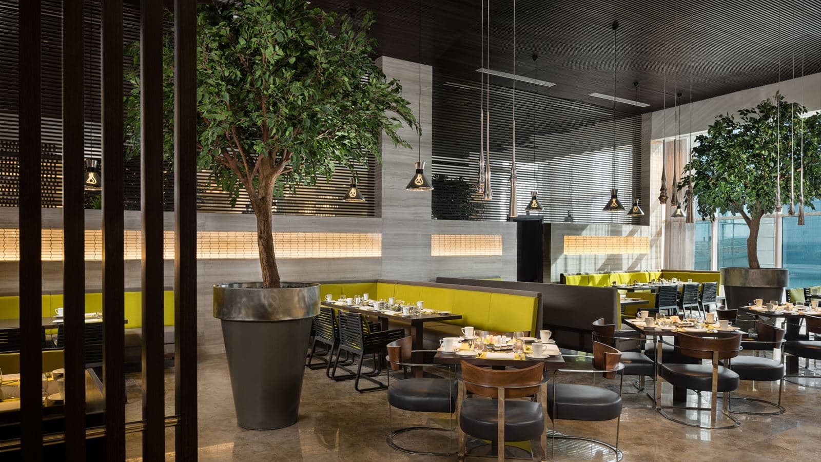 restaurants-acacia