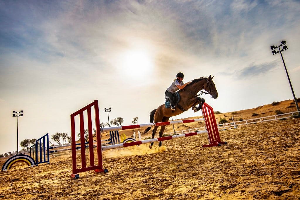 sport-sport