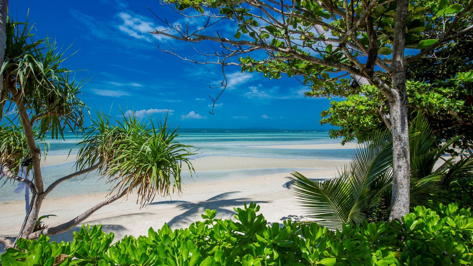 beach-beach