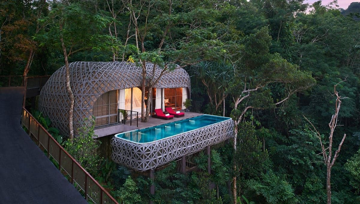 rooms-birds-nest-pool-villa