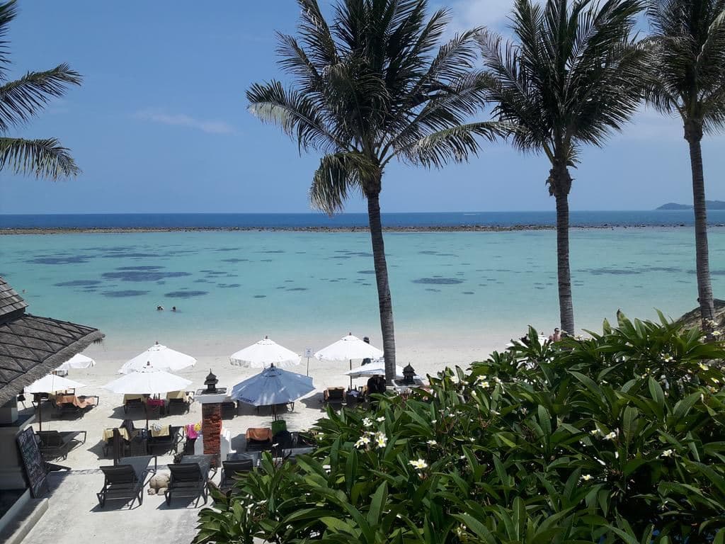 beach-beach