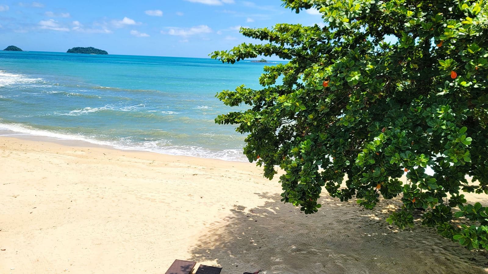 beach-beach