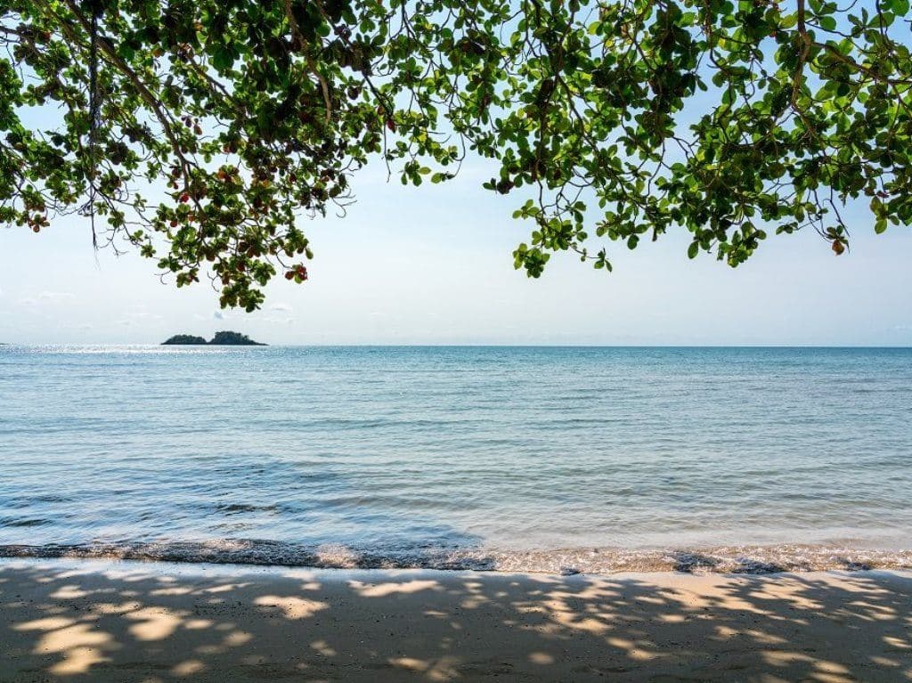 beach-beach