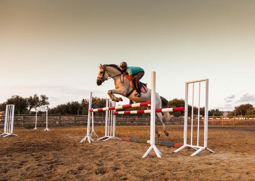 sport-sport