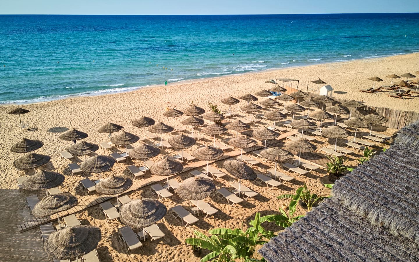 restaurants-restaurant-coco-beach
