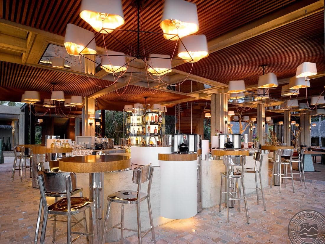restaurants-avi-bar