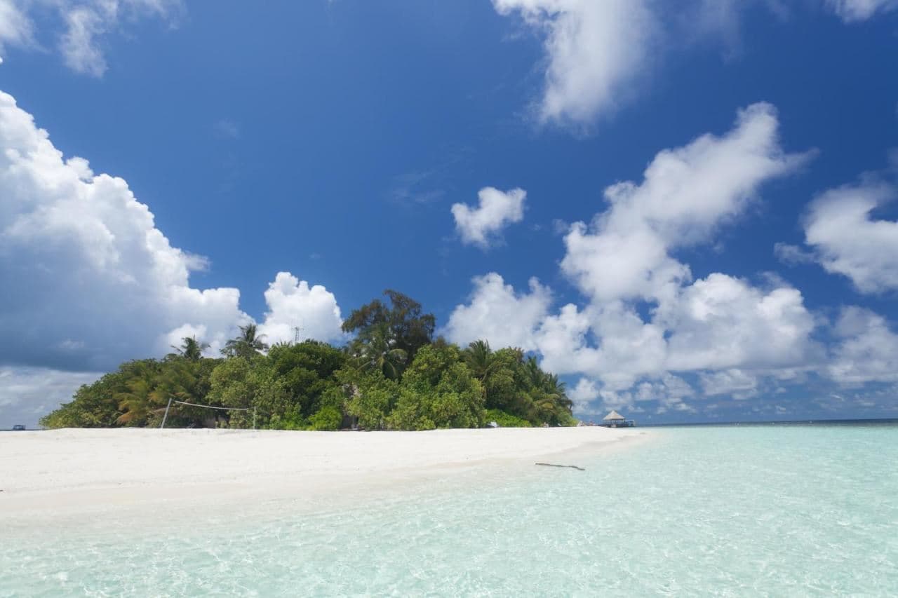beach-beach