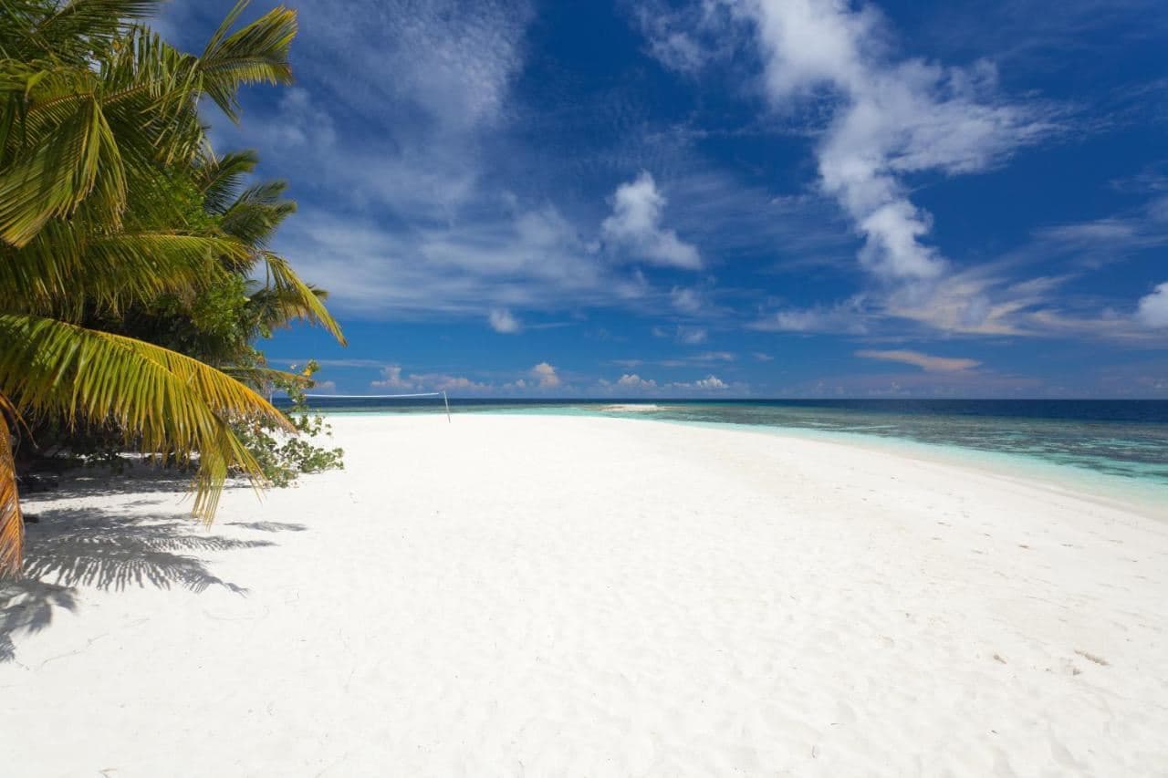 beach-beach