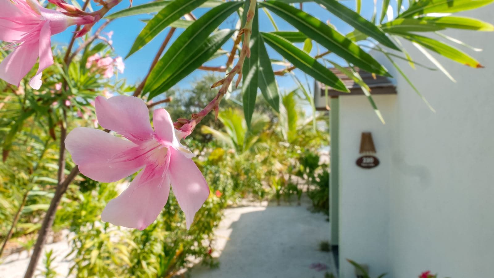 rooms-palm-villa