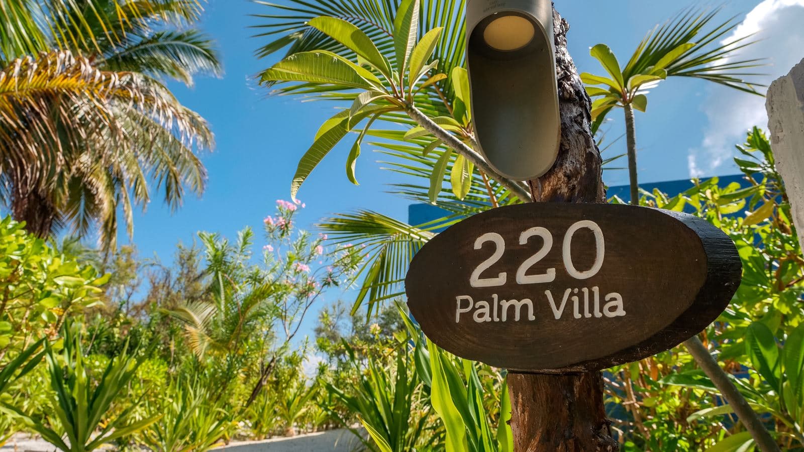 rooms-palm-villa