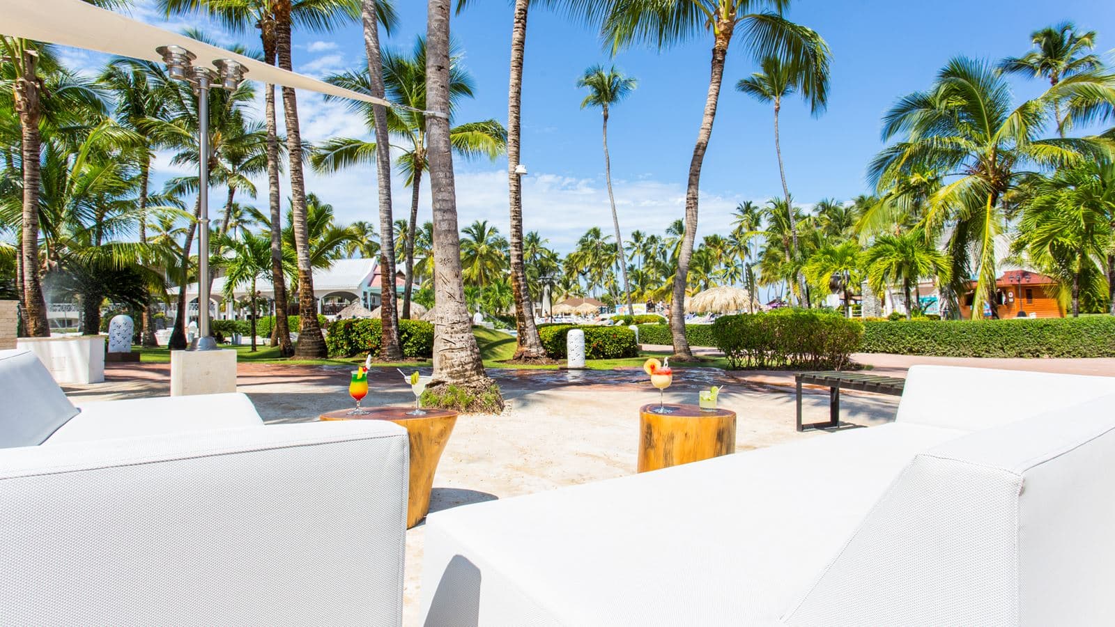 bars-plaza-bar