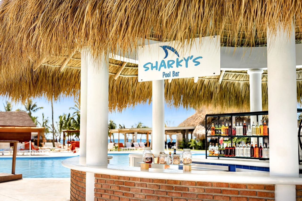 bars-sharkys