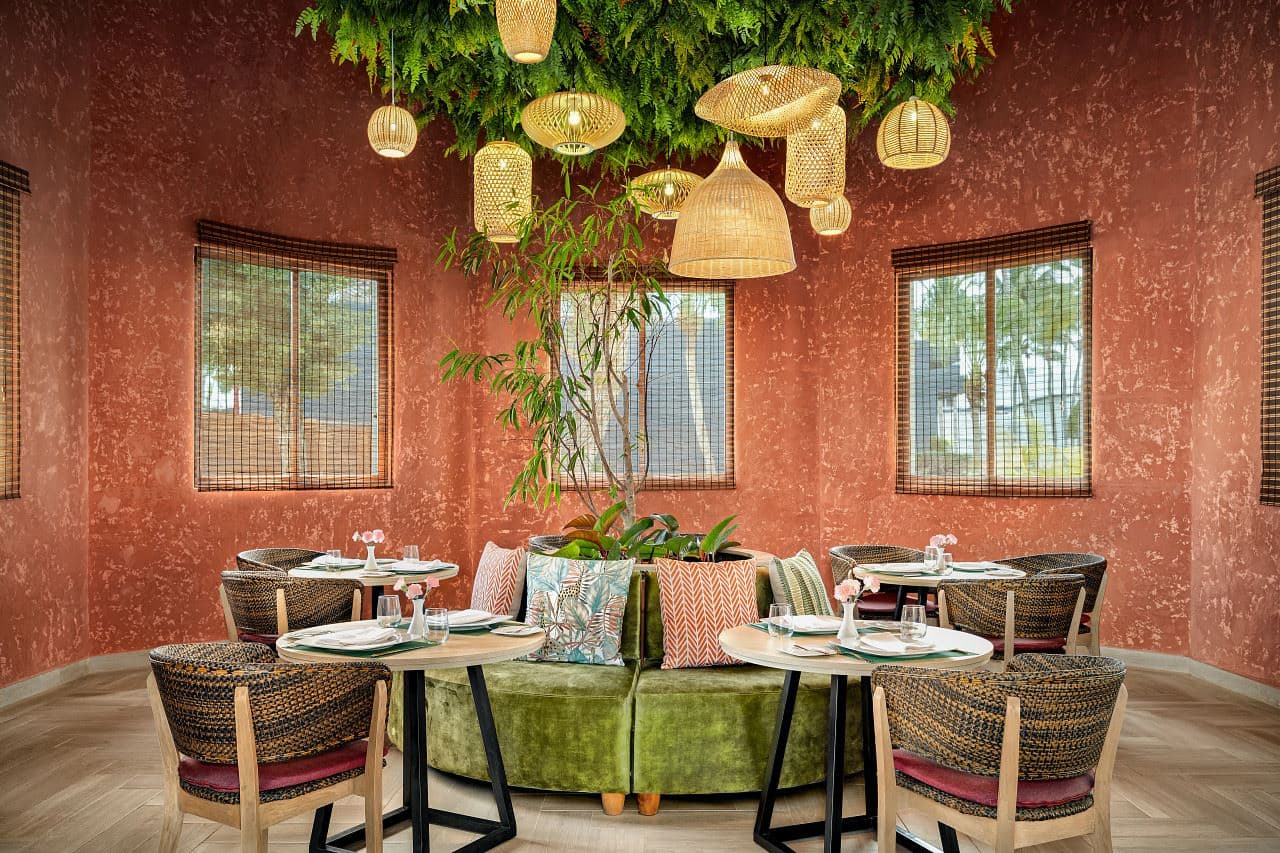 restaurants-tierra