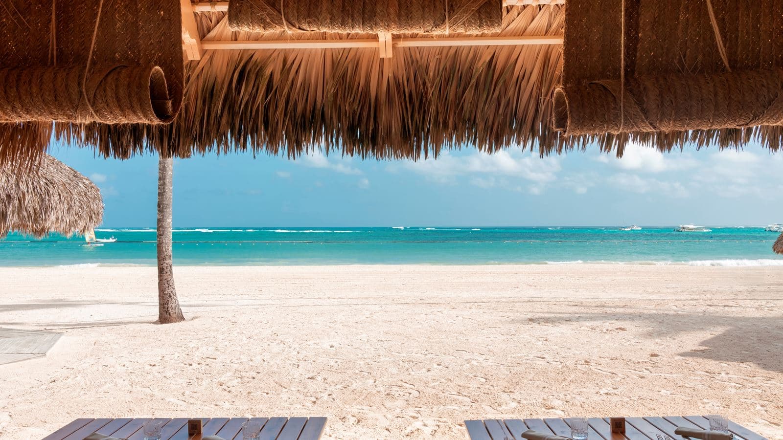 bars-beach-club